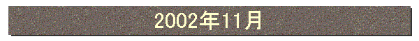 2002年11月