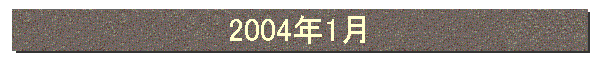 2004年1月