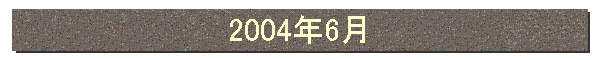 2004年6月