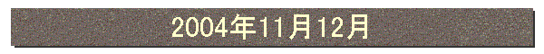 2004年11月12月